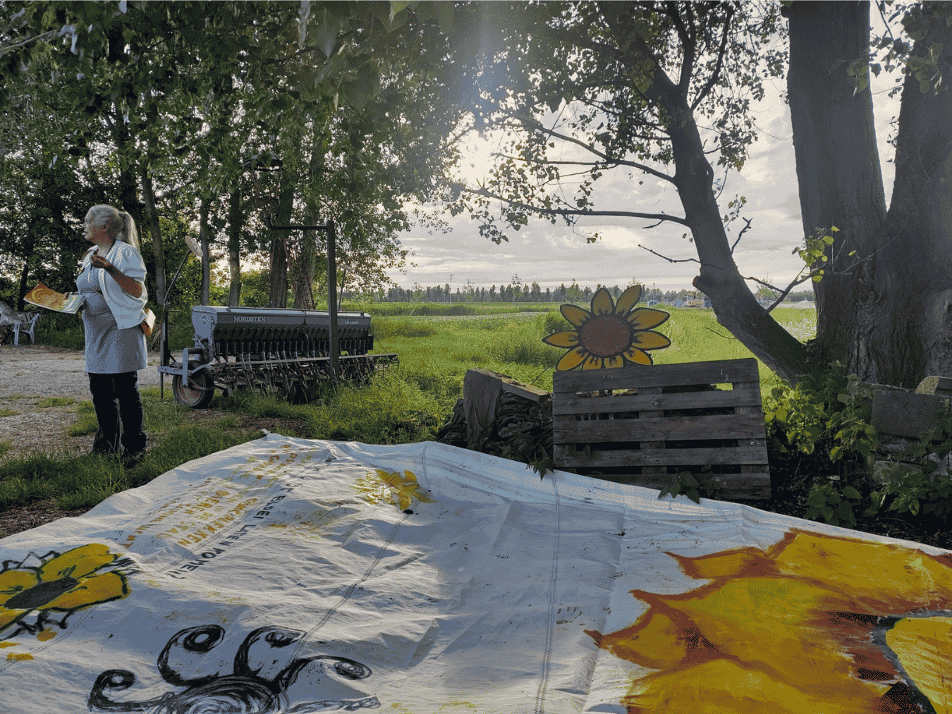 Lutkemeerommetje - Lutkemeerpolder als koelteplek