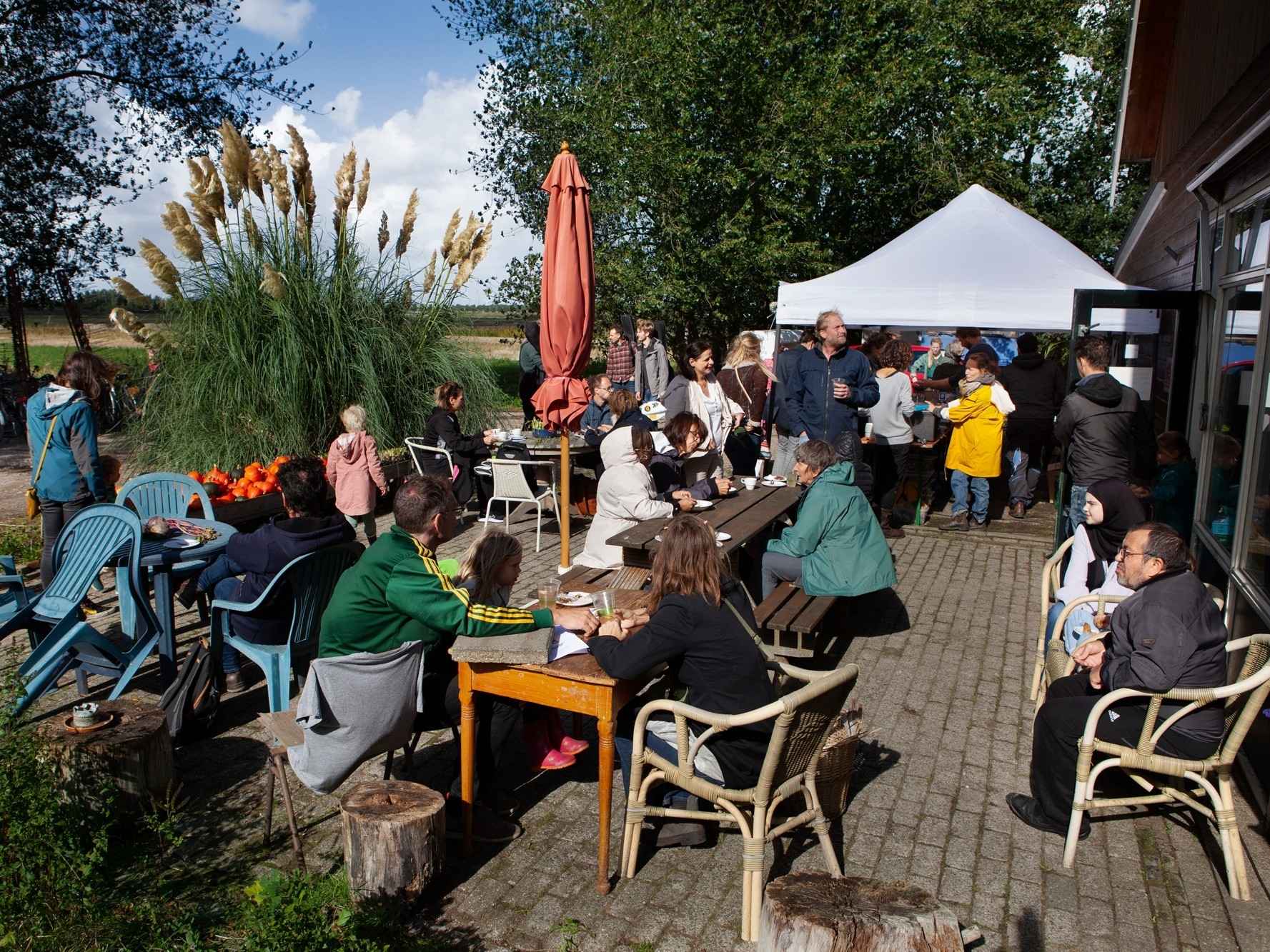 Vrijdag vragenmiddag & oogsten