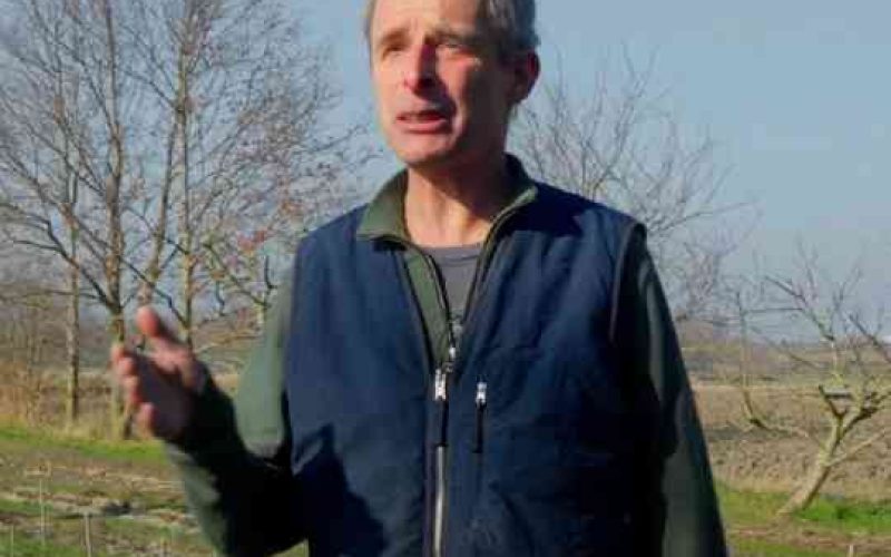 HansSibbel-thumbnail