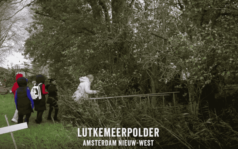 Nederlandvanbinnen_Lutkemeerpolder